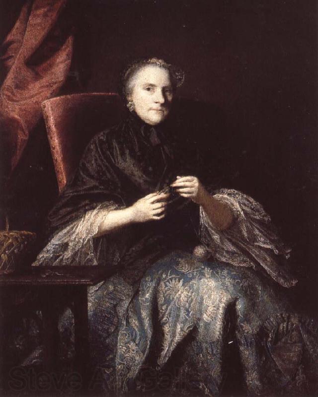 Sir Joshua Reynolds Anne,Second Countess of Albemarle Spain oil painting art